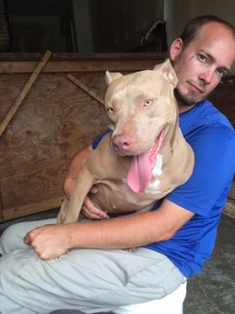 Lost dog in Bethlehem, GA, 30620