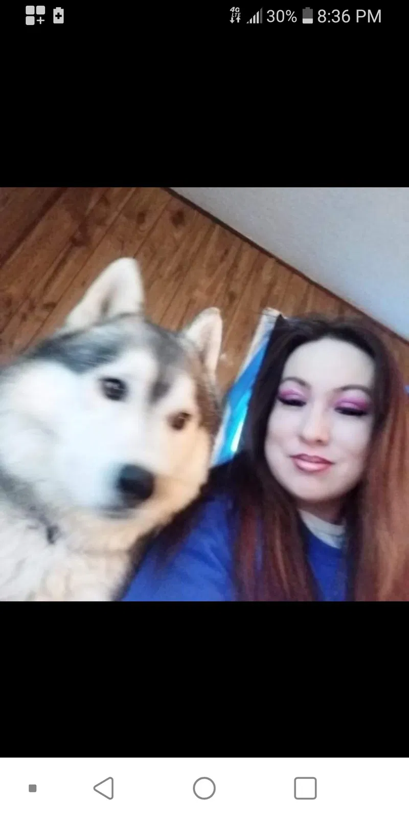Lost dog in Odessa, TX, 79764