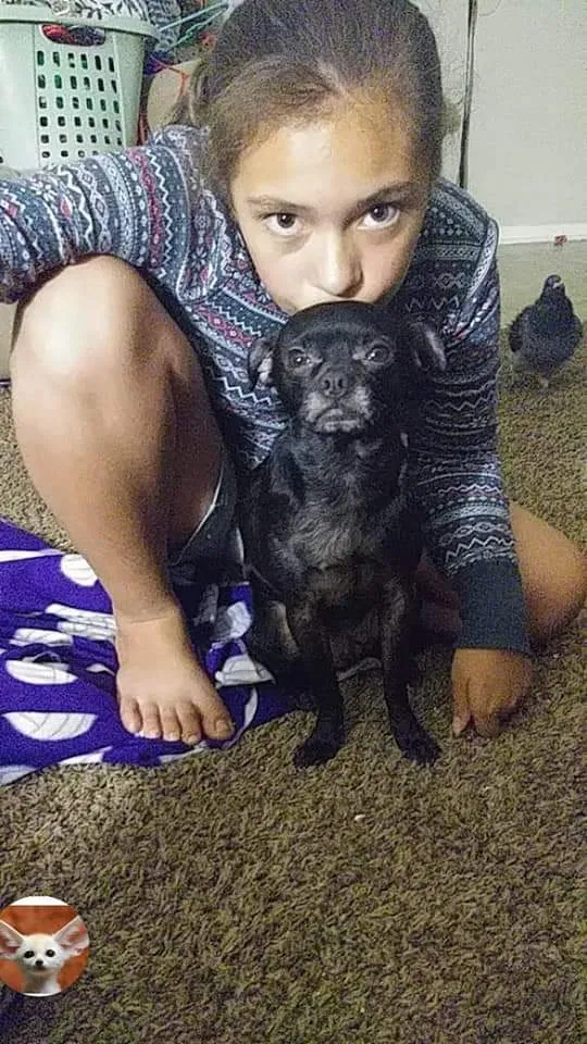 Lost dog in Oklahoma City, OK, 73119