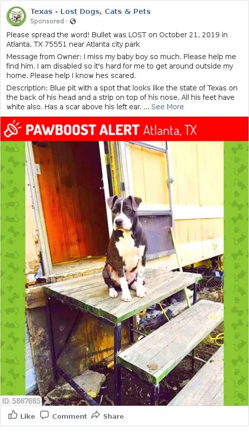 Lost dog in Linden, TX, 75563