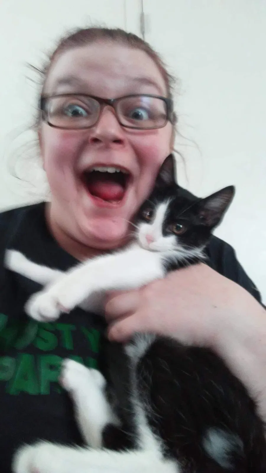 Lost cat in Fort Wayne, IN, 46803