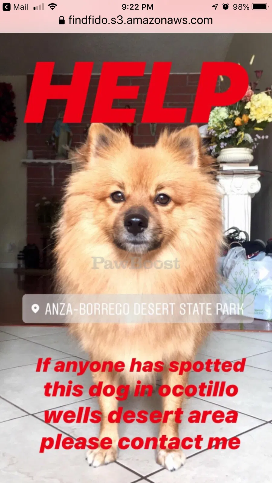Lost dog in Borrego Springs, CA, 92004