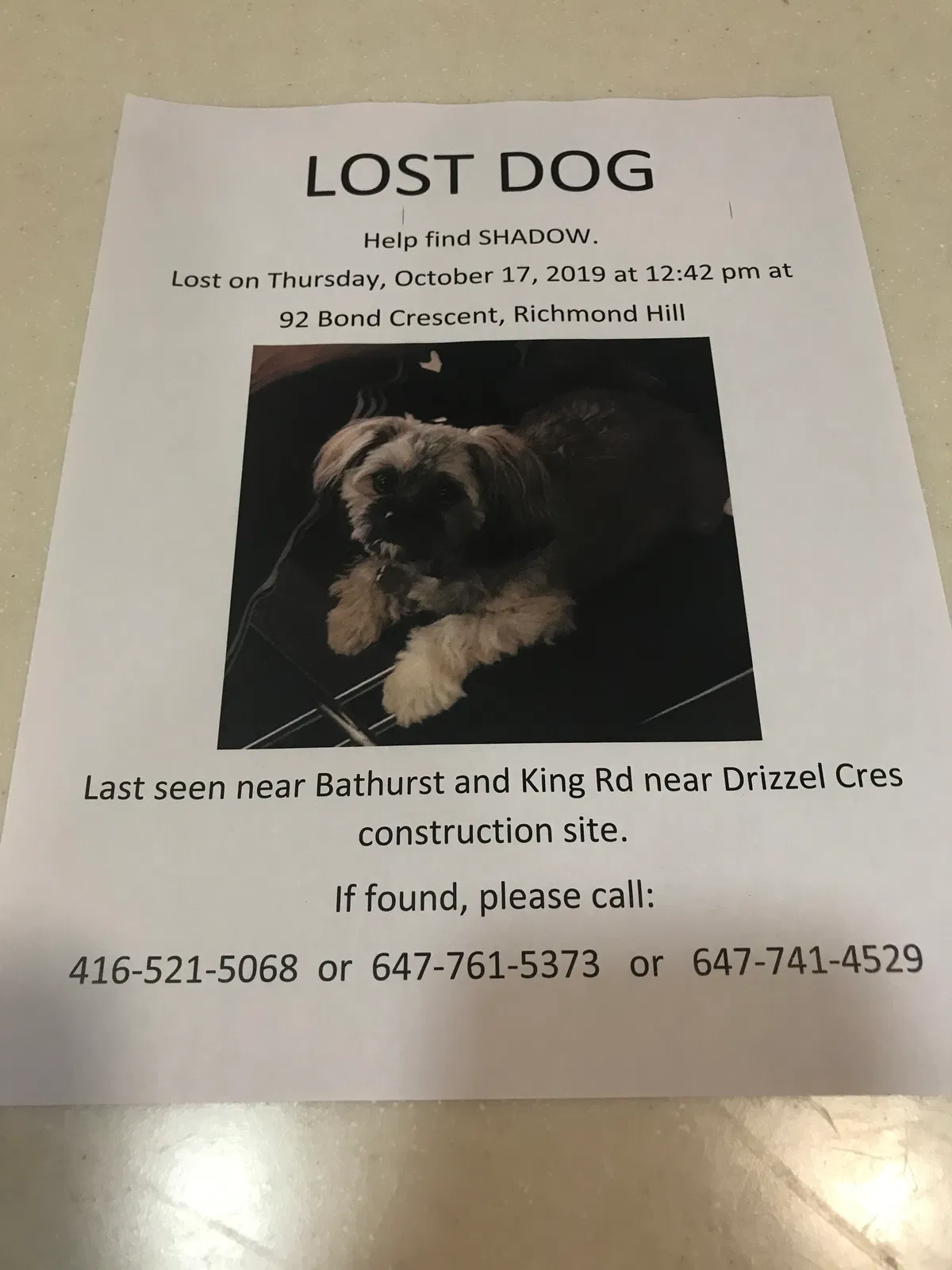 Lost dog in Unknown, GA, 0