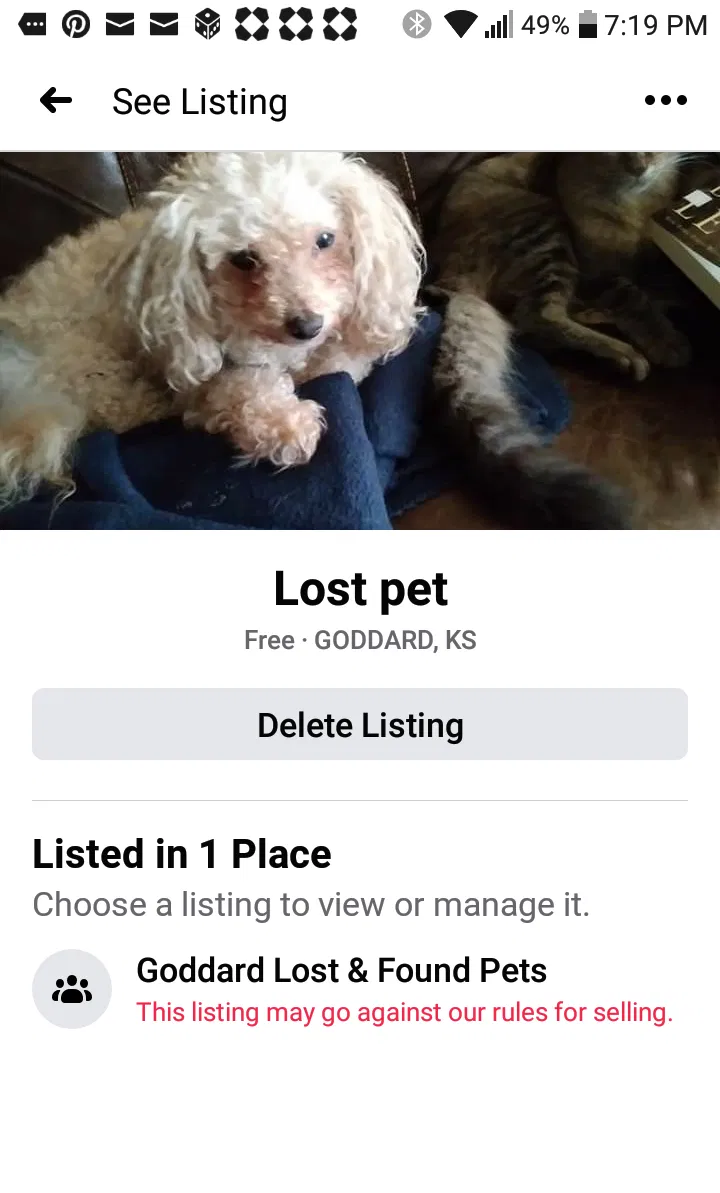 Lost dog in Goddard, KS, 67052