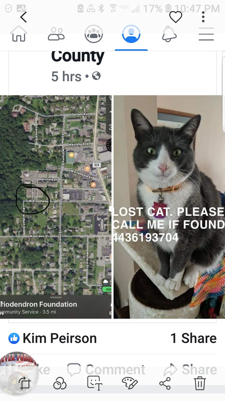 Lost cat in Bel Air, MD, 21015