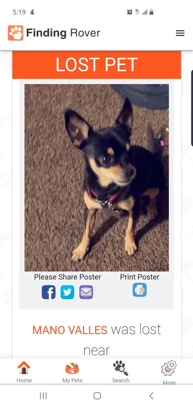 Lost dog in Fresno, CA, 93726
