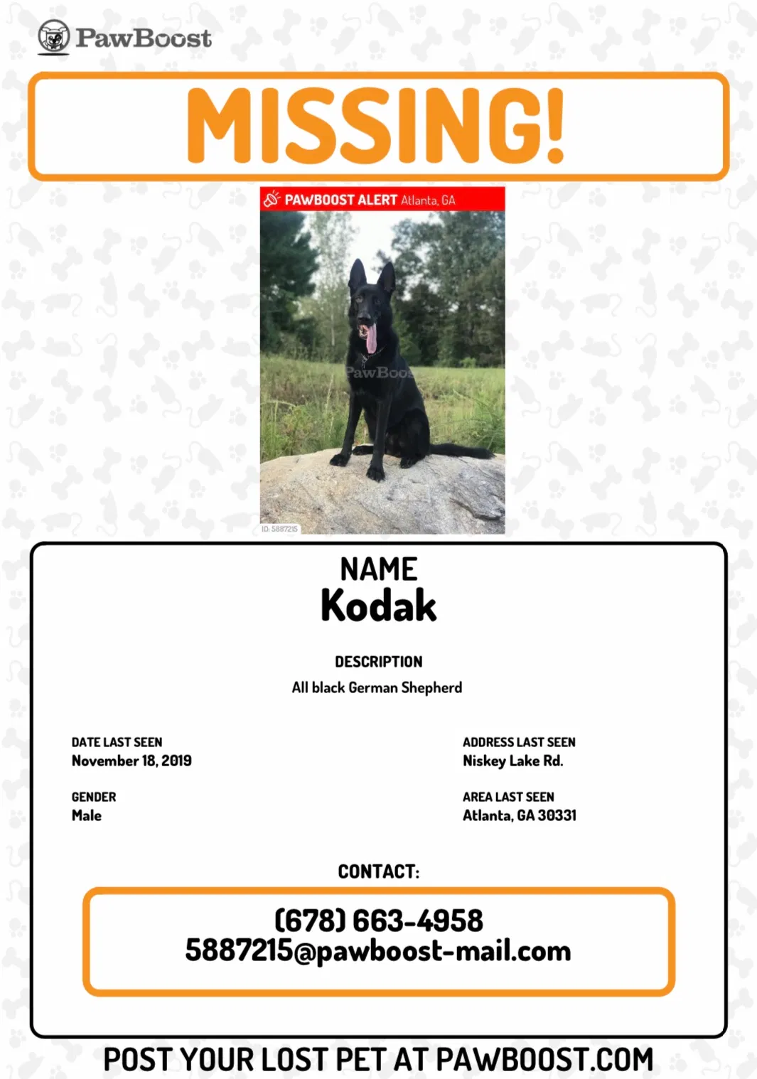 Lost dog in Atlanta, GA, 30331