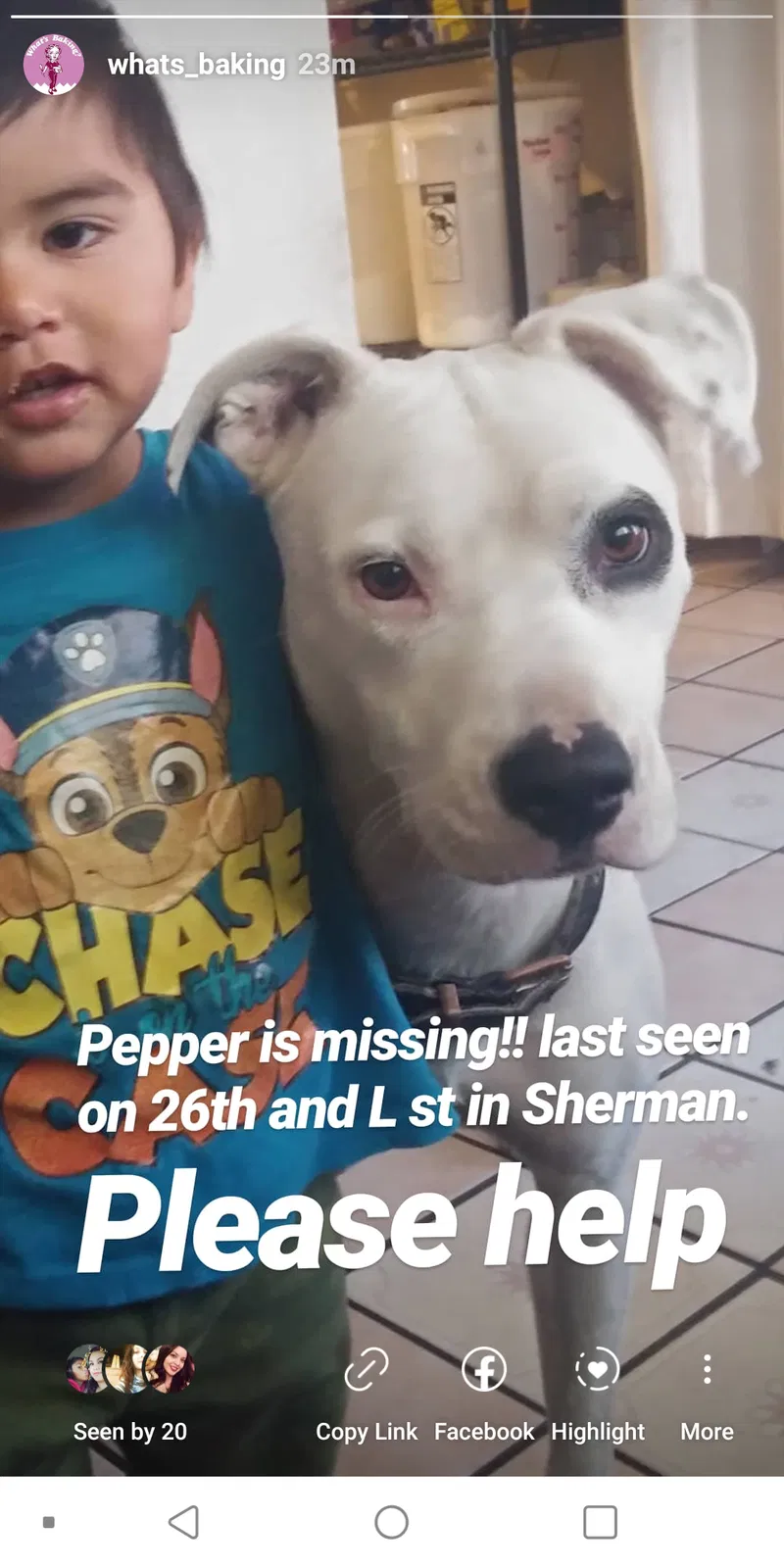 Lost dog in San Diego, CA, 92102