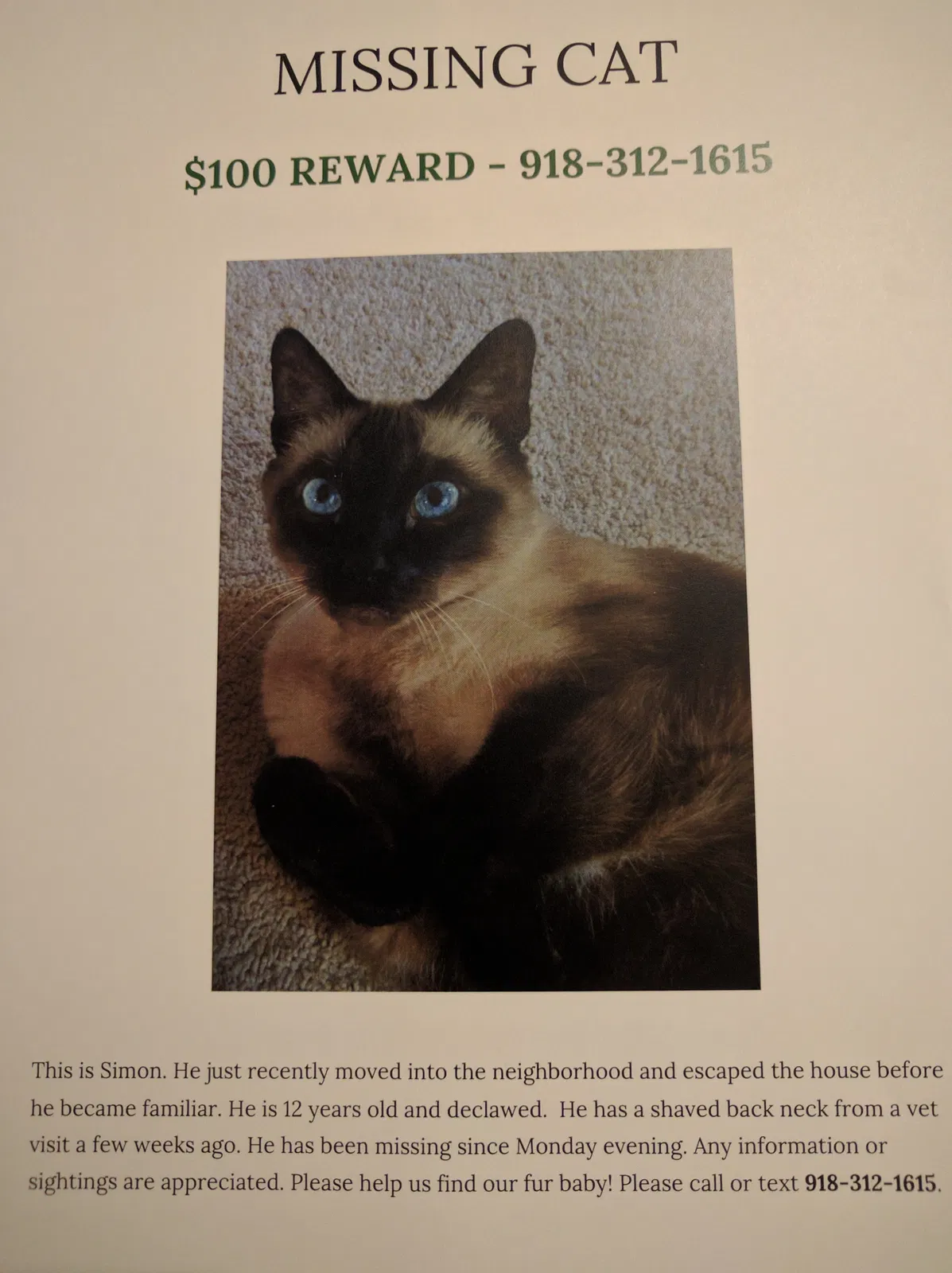 Lost cat in Tulsa, OK, 74112