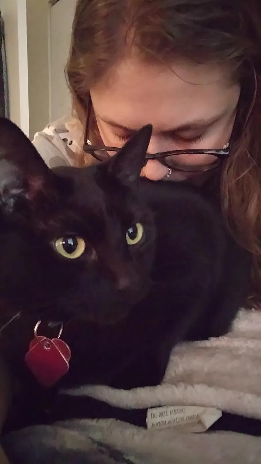 Lost cat in El Dorado Hills, CA, 95762