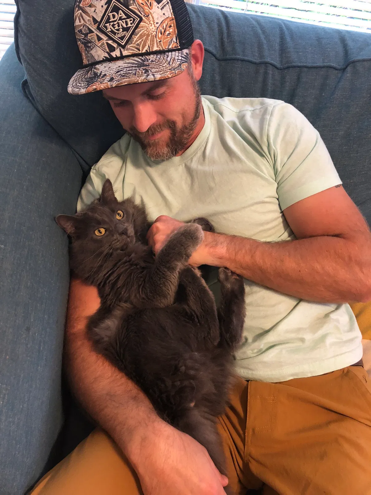 Lost cat in Damascus, OR, 97089