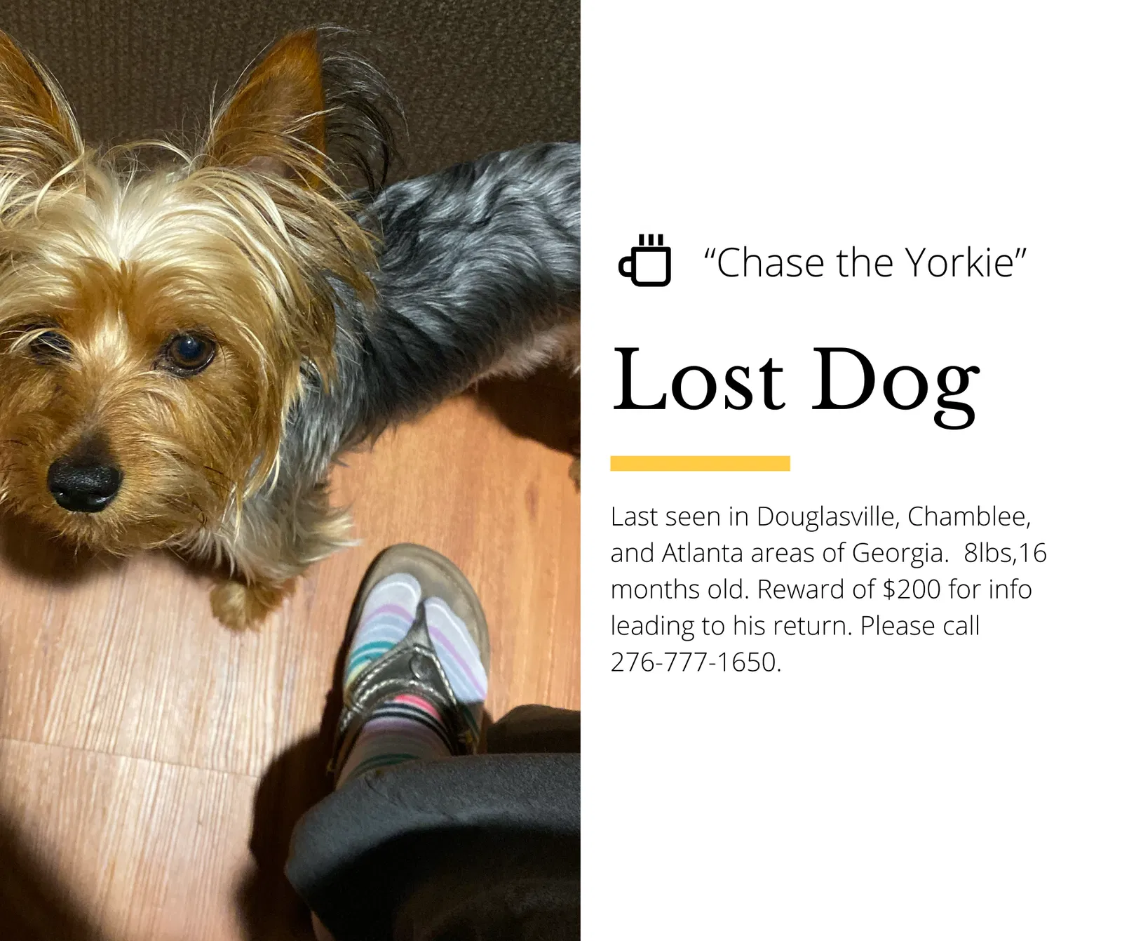 Lost dog in Douglasville, GA, 30134