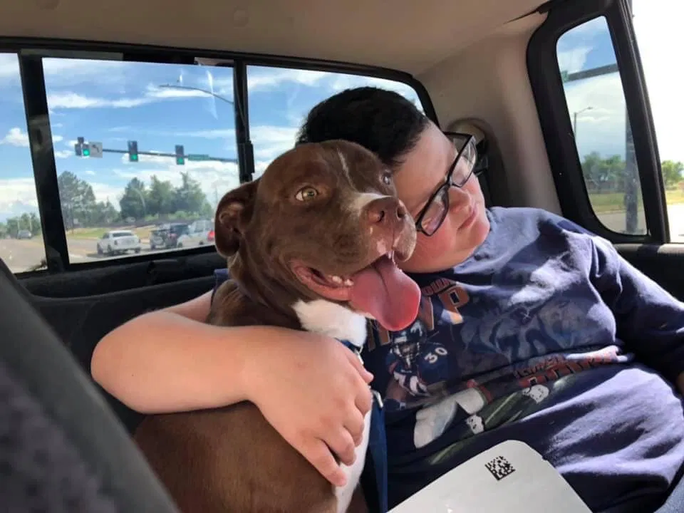 Lost dog in Pueblo, CO, 81004