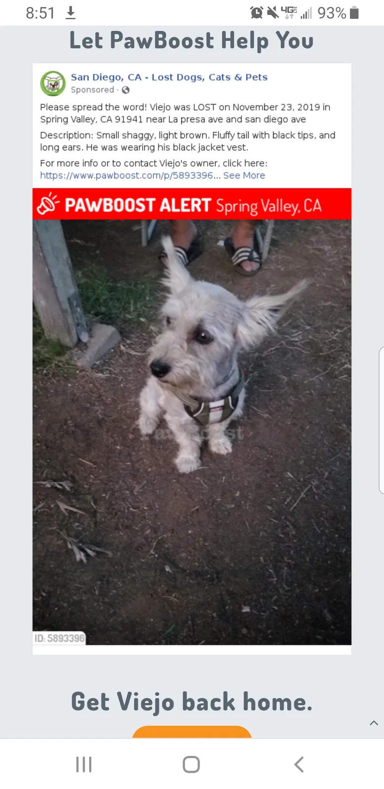 Lost dog in Spring Valley, CA, 91977