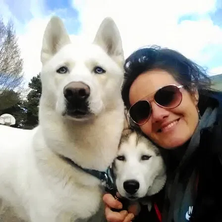 Lost dog in Springfield, OR, 97477