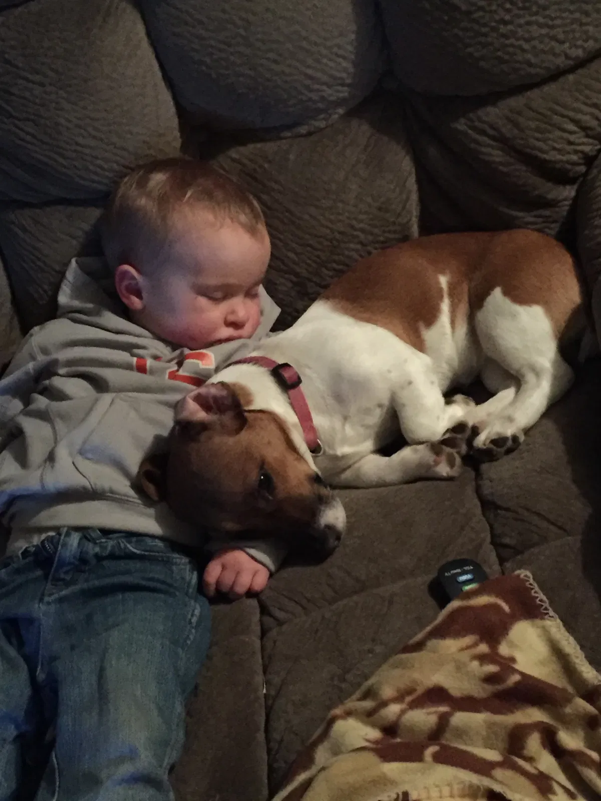 Lost dog in Redmond, OR, 97756