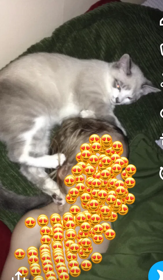 Lost cat in Burlington, WA, 98233