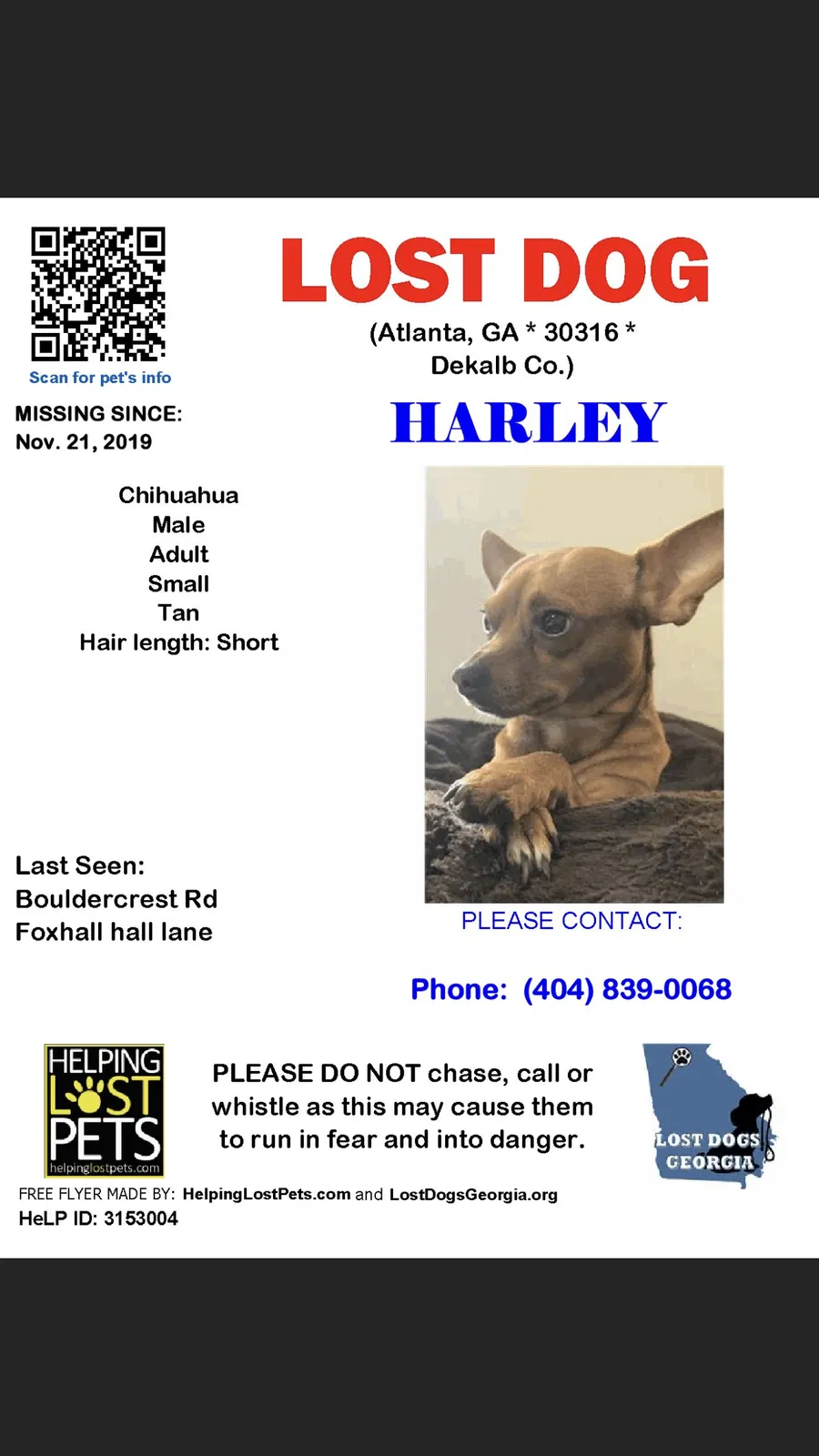 Lost dog in Atlanta, GA, 30316