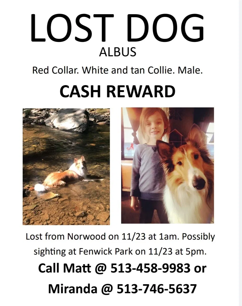 Lost dog in Cincinnati, OH, 45212