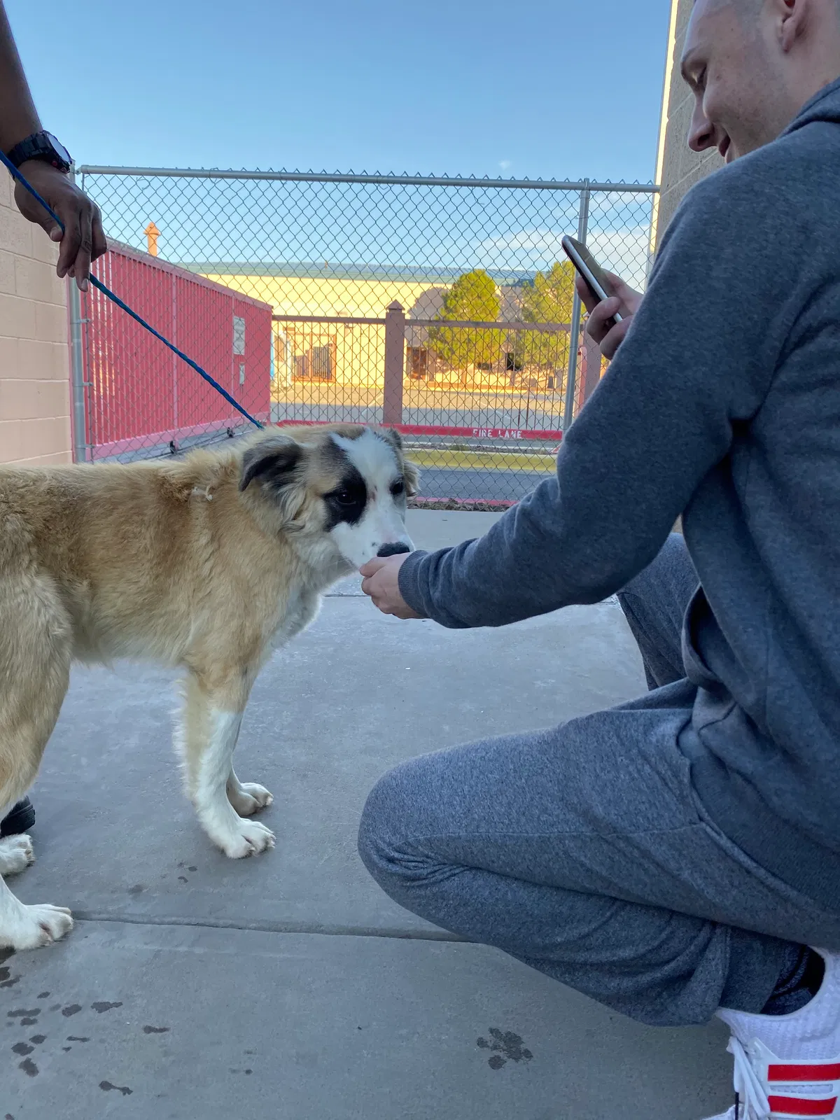 Lost dog in El Paso, TX, 79904