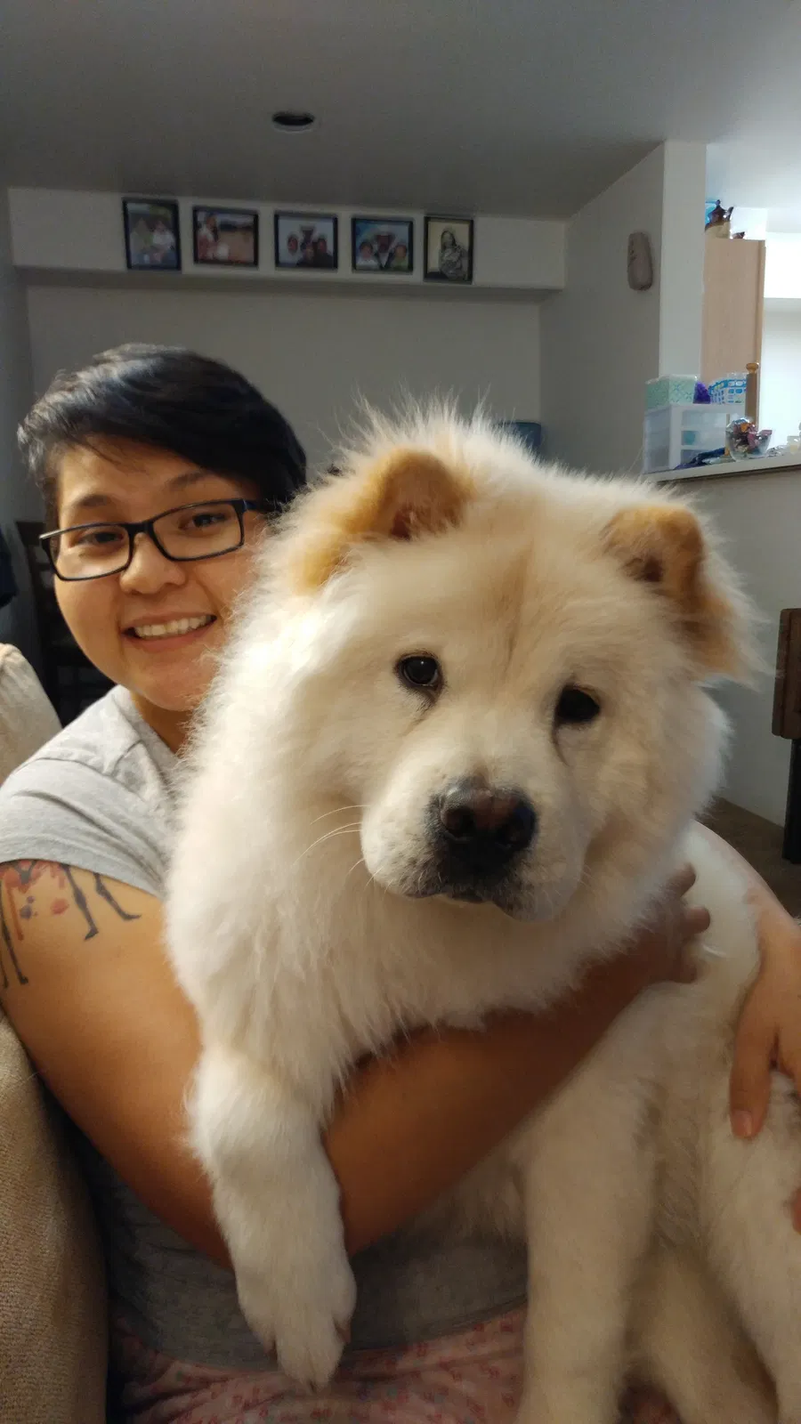 Lost dog in Rio Rancho, NM, 87124