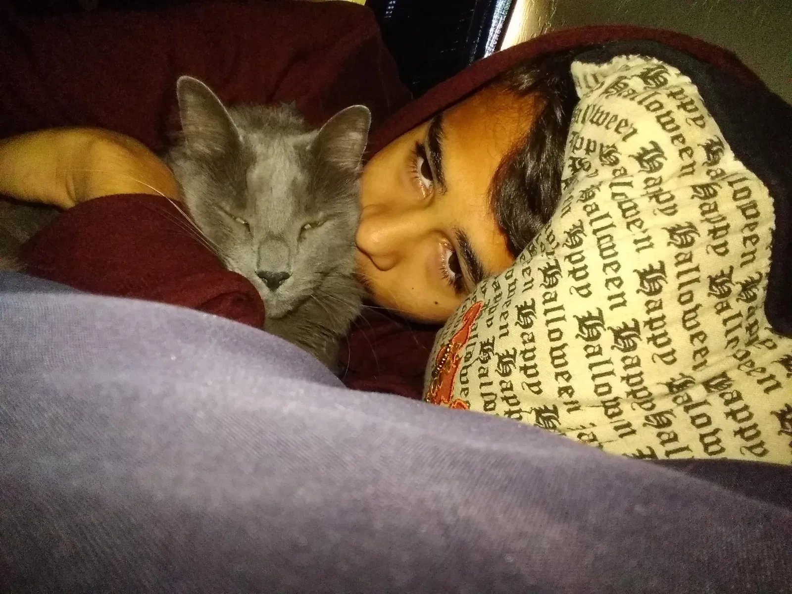 Lost cat in Vail, AZ, 85641