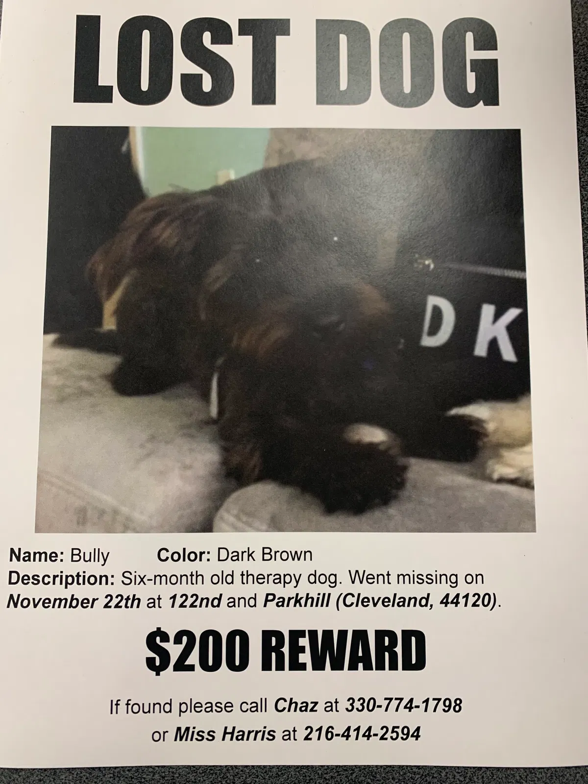 Lost dog in Cleveland, OH, 44113