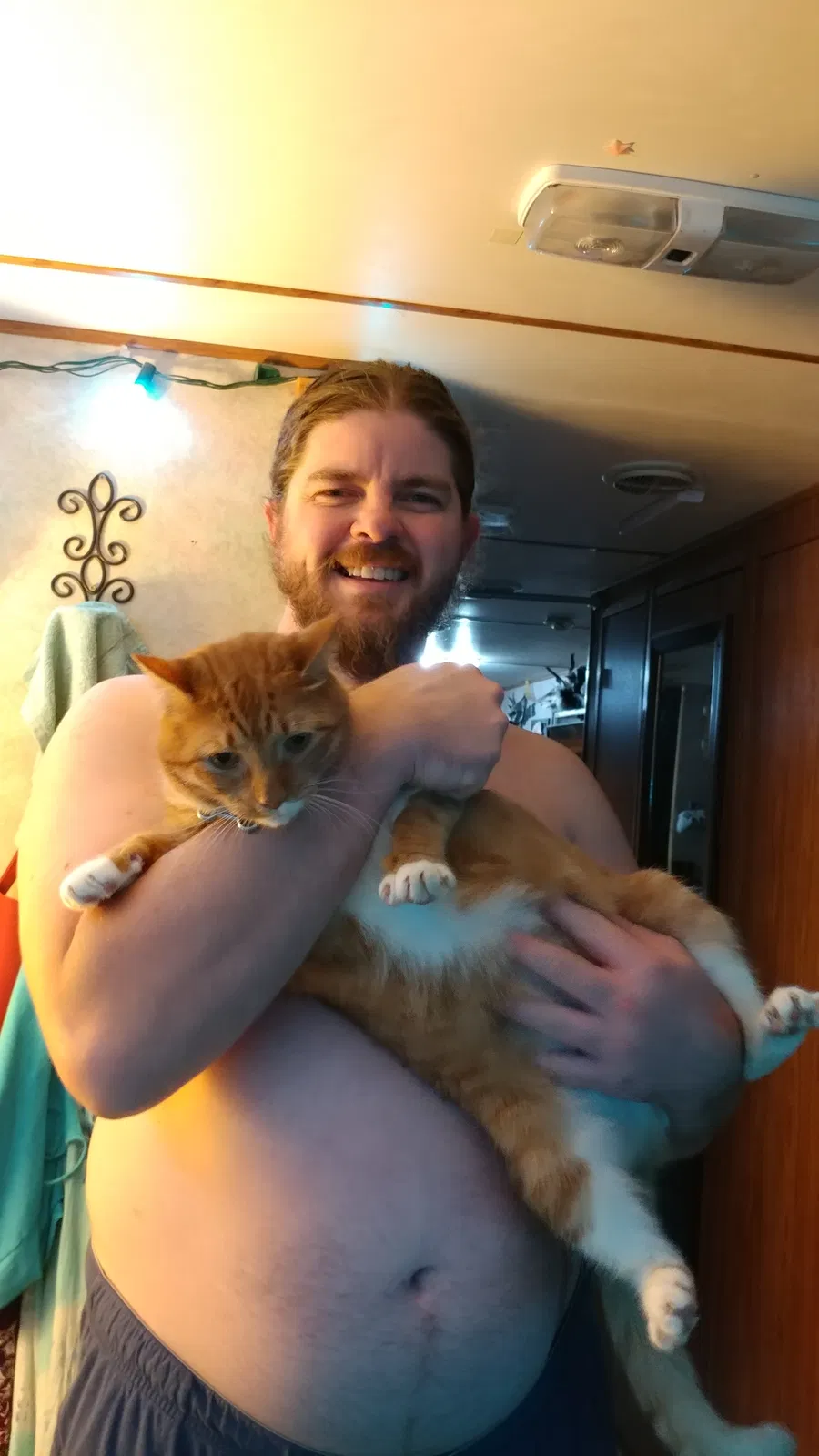 Lost cat in Clarksville, OH, 45113