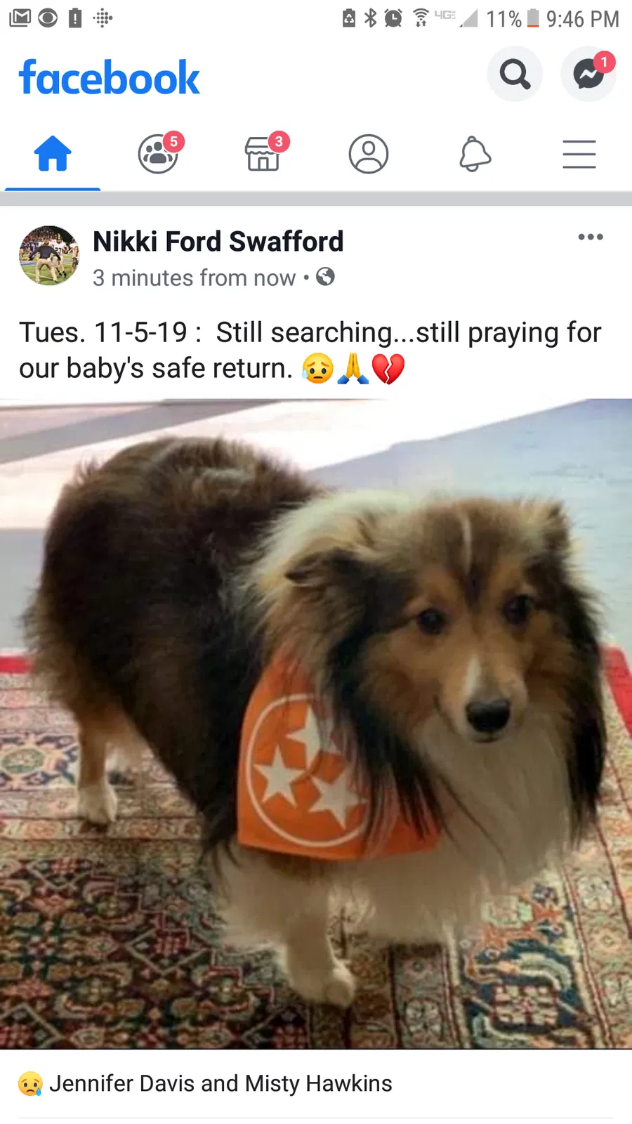 Lost dog in Cleveland, TN, 37312
