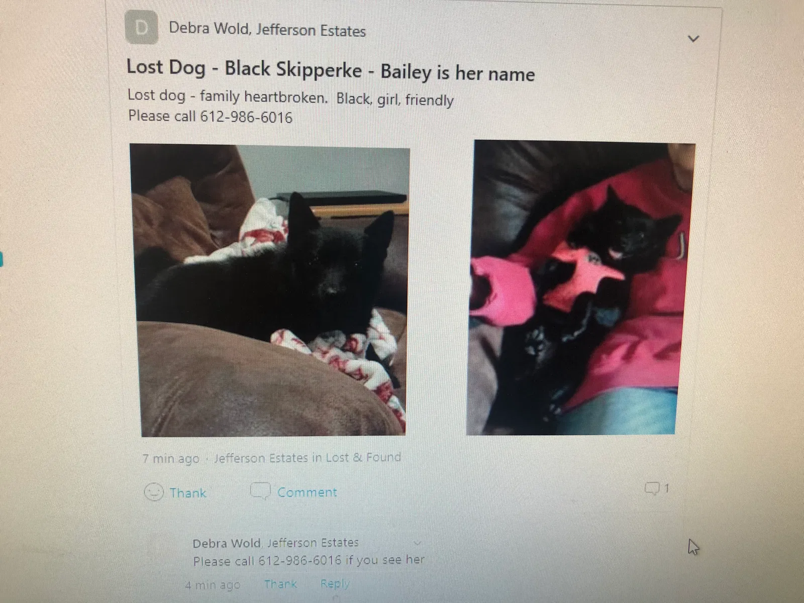 Lost dog in Minneapolis, MN, 55434