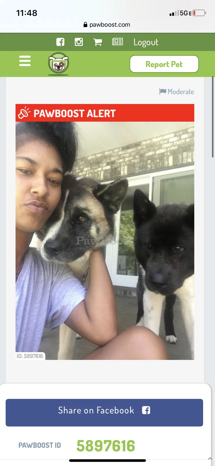 Lost dog in Charleston, WV, 25309