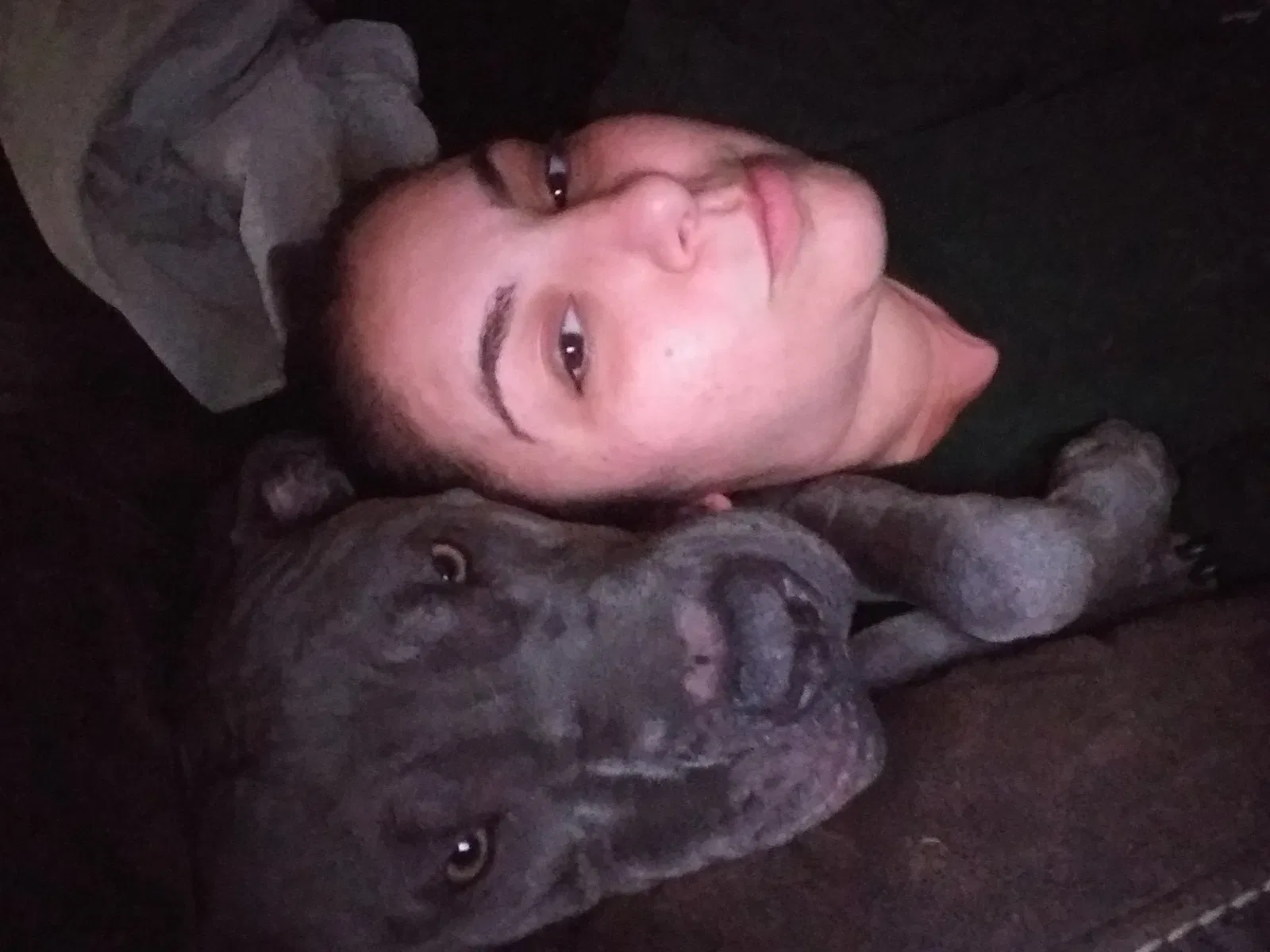 Lost dog in Laredo, TX, 78040