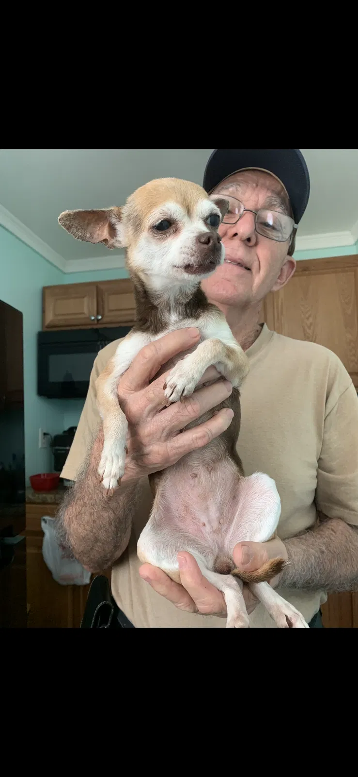 Lost dog in Fort Lauderdale, FL, 33314