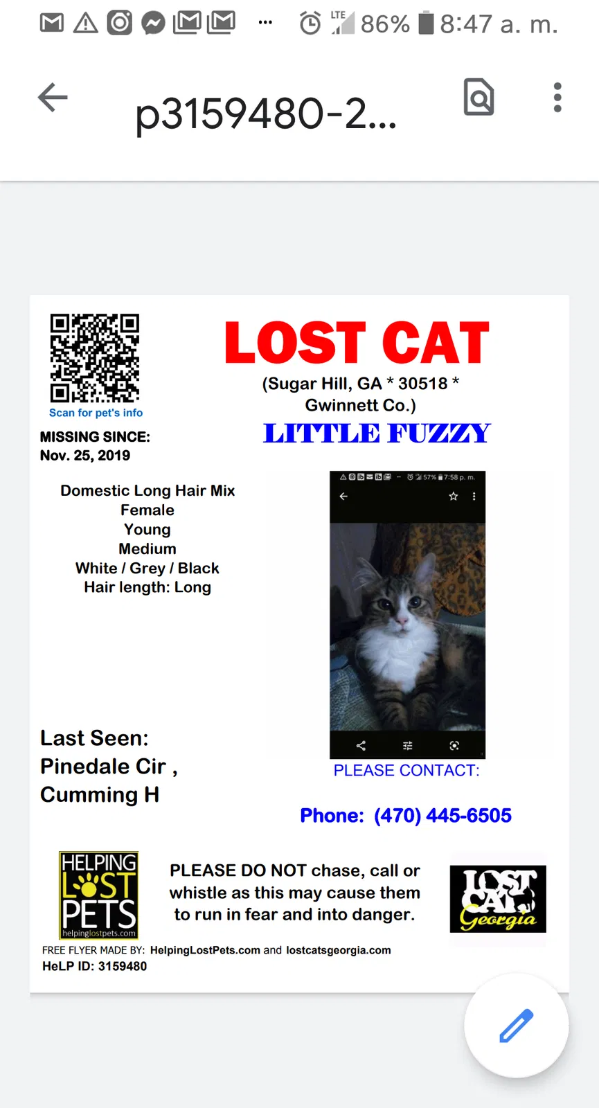 Lost cat in Buford, GA, 30518