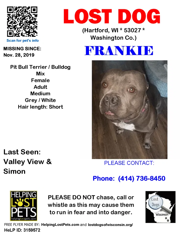 Lost dog in Hartford, WI, 53027