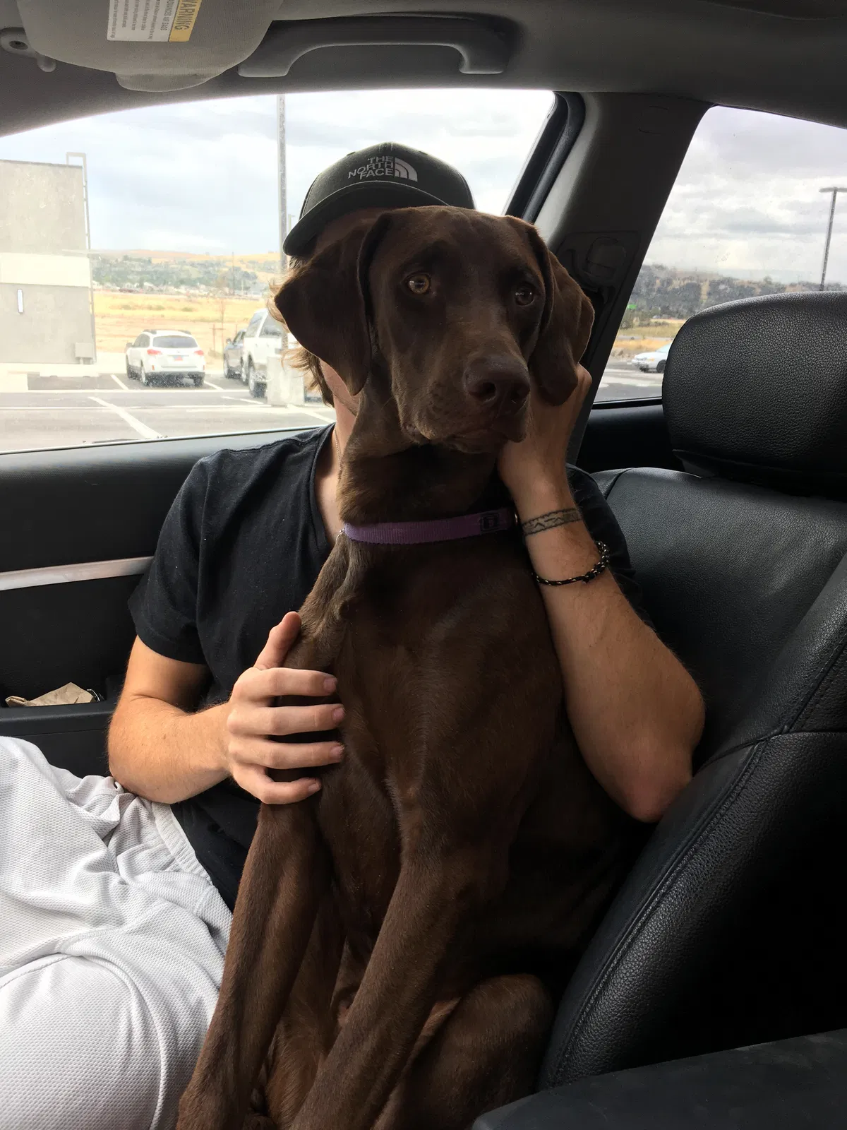 Lost dog in Ogden, UT, 84405