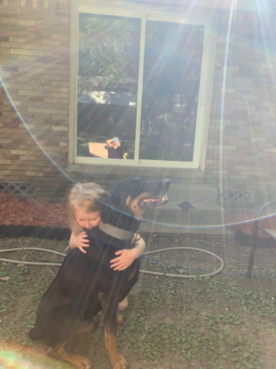 Lost dog in North Little Rock, AR, 72116