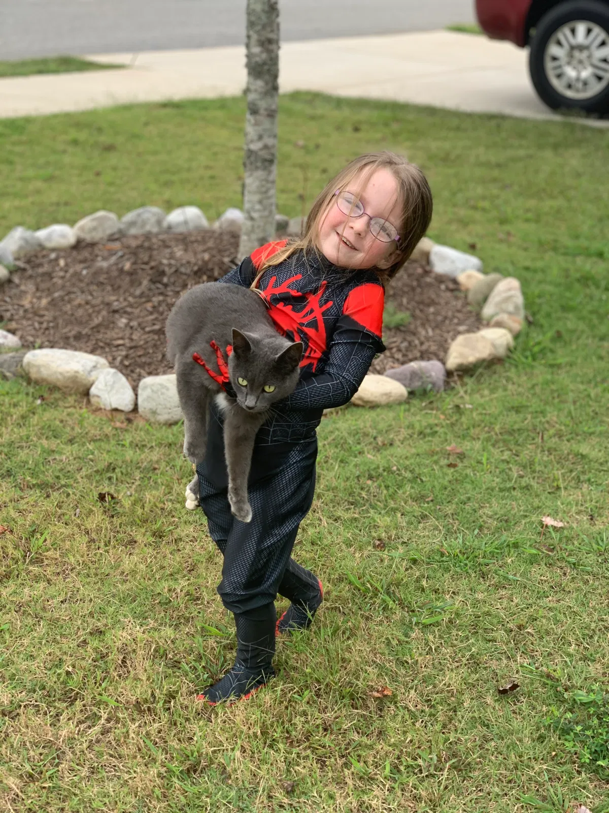 Lost cat in Lyman, SC, 29365