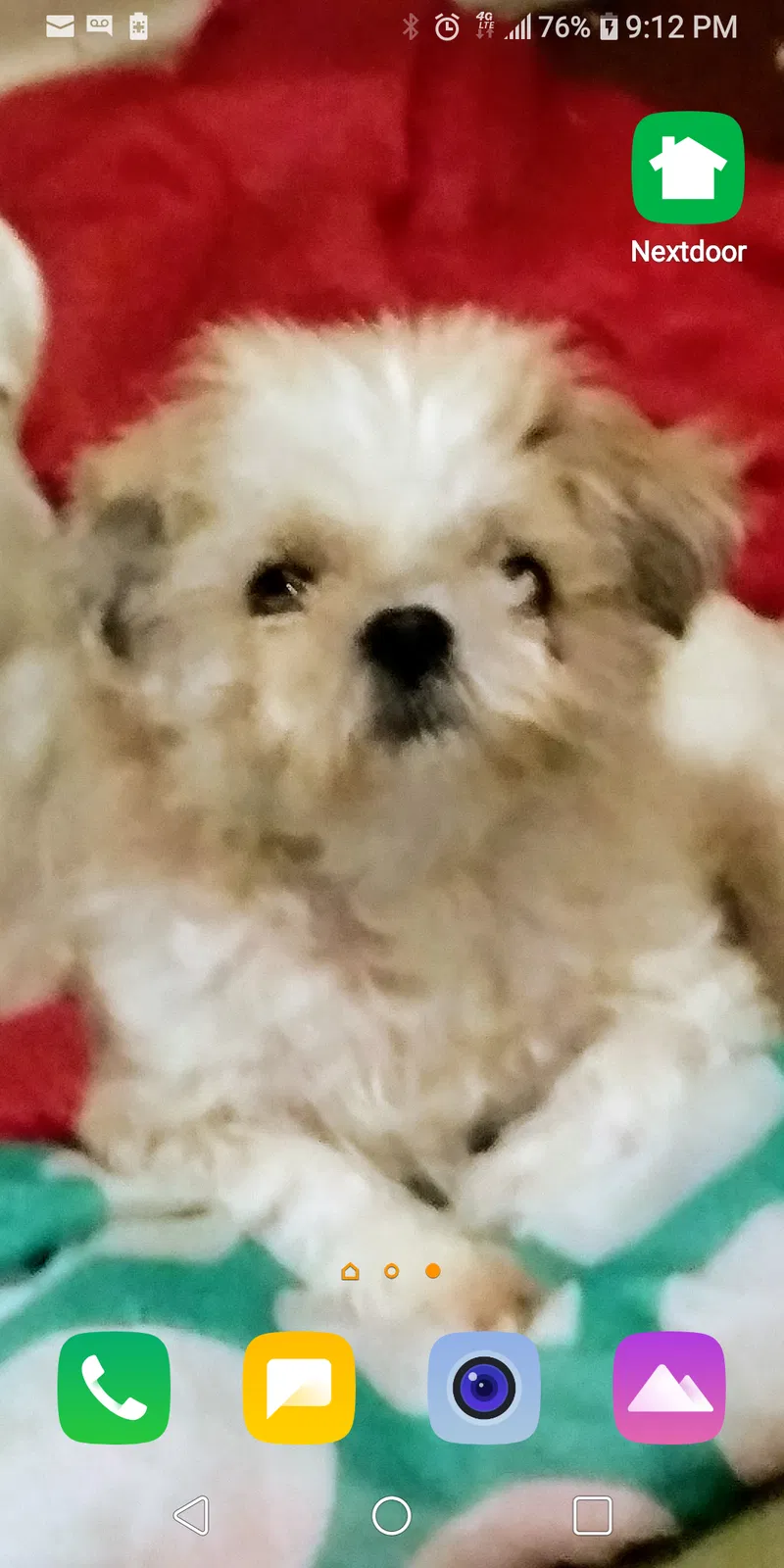 Lost dog in Cedar Hill, TX, 75104