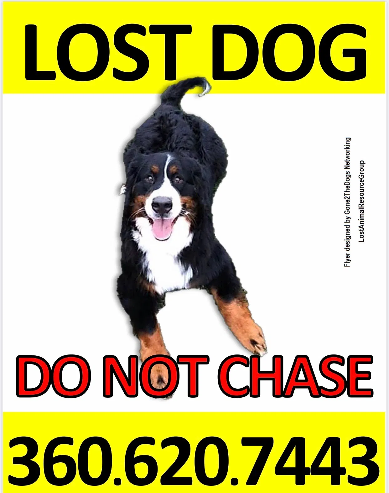Lost dog in The Plains, VA, 20198
