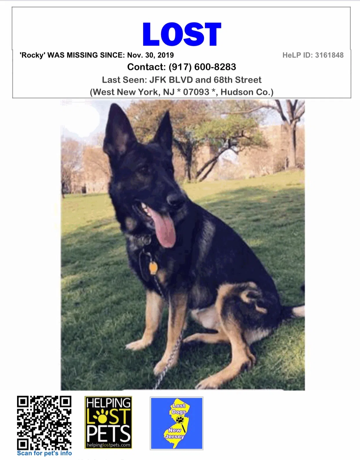 Lost dog in West New York, NJ, 7093