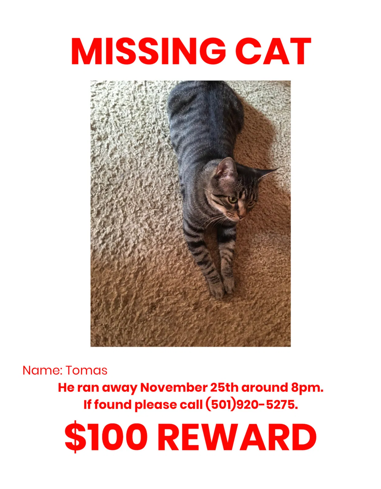 Lost cat in Alexander, AR, 72002