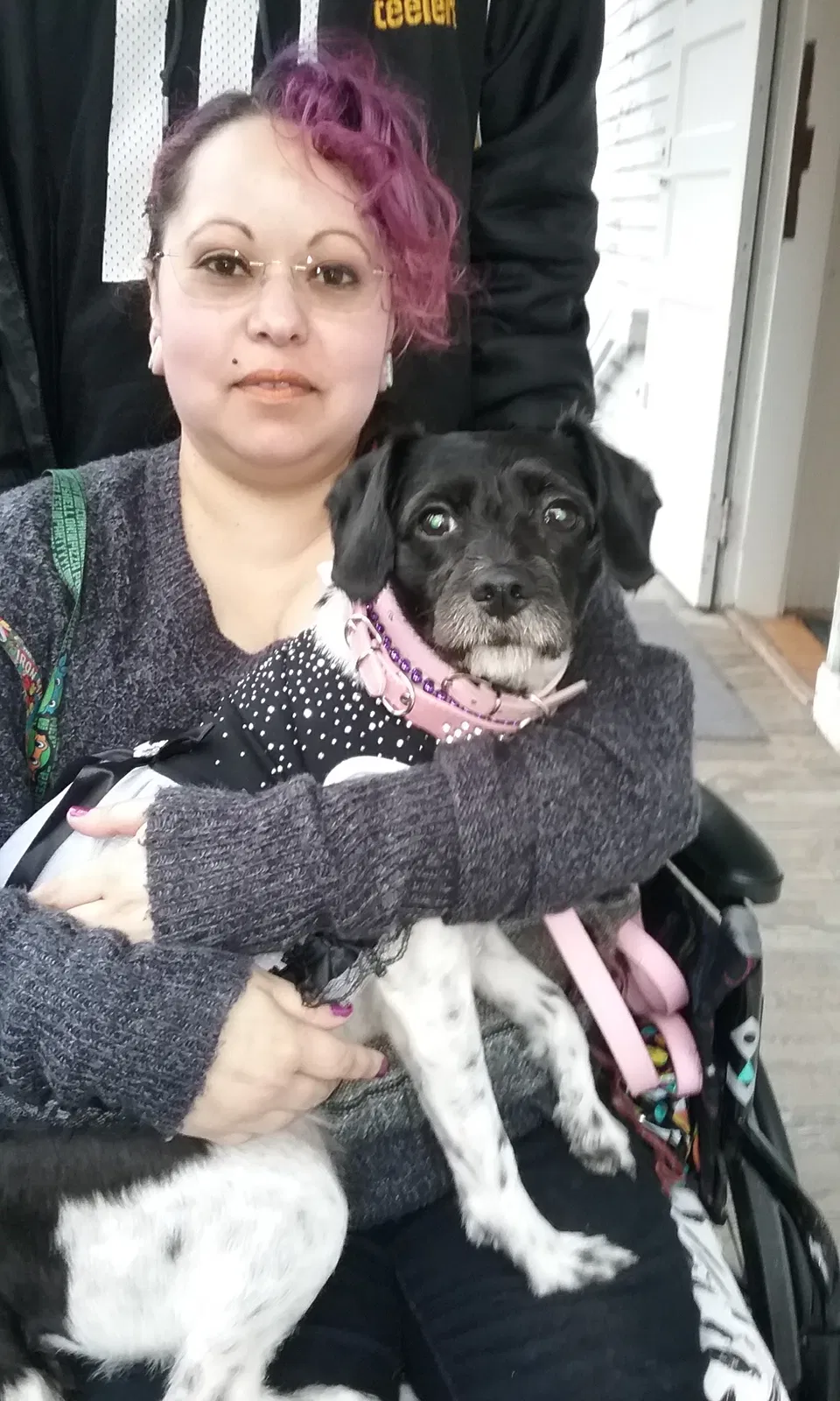 Lost dog in Sacramento, CA, 95826