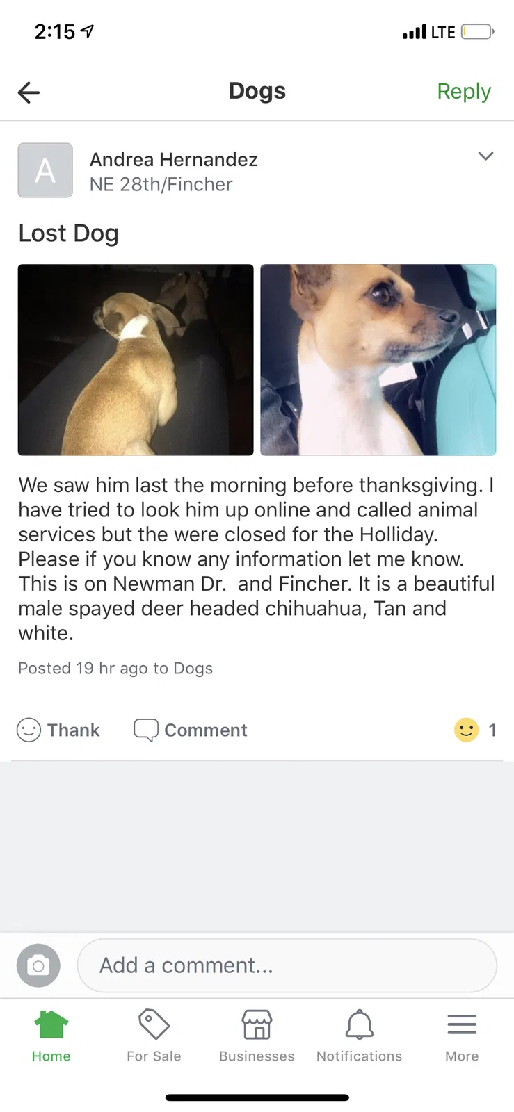 Lost dog in Haltom City, TX, 76117