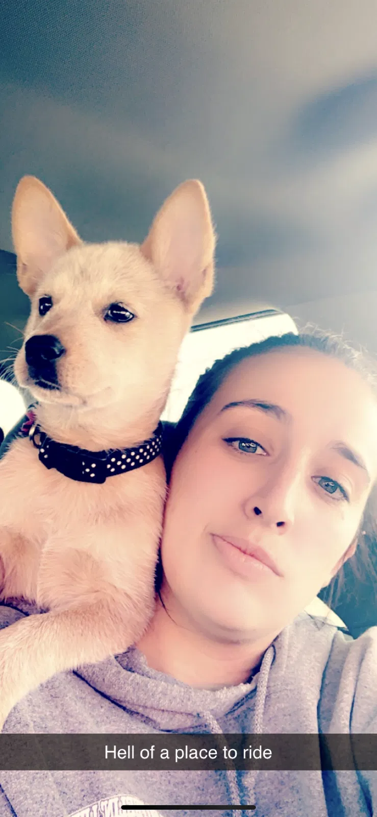 Lost dog in Amarillo, TX, 79118