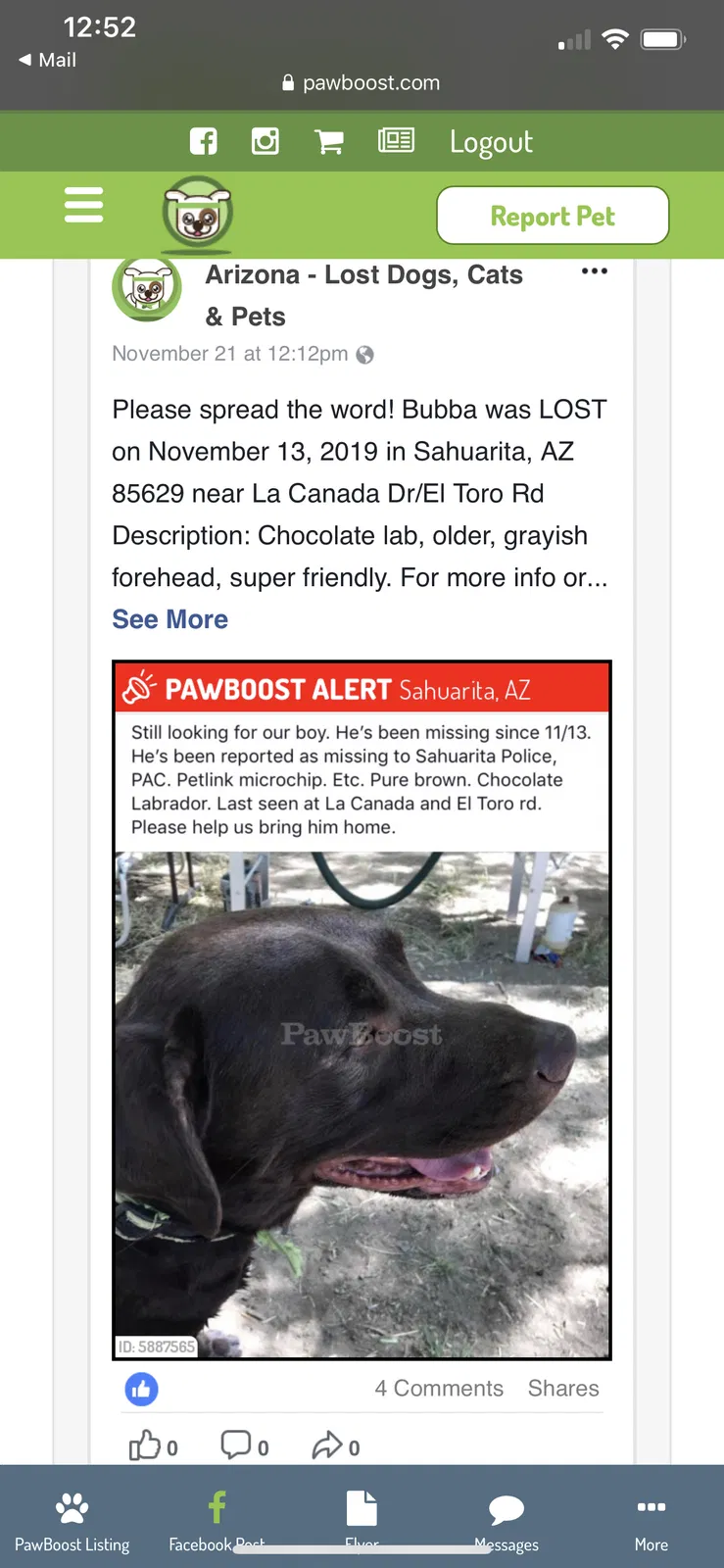Lost dog in Sahuarita, AZ, 85629