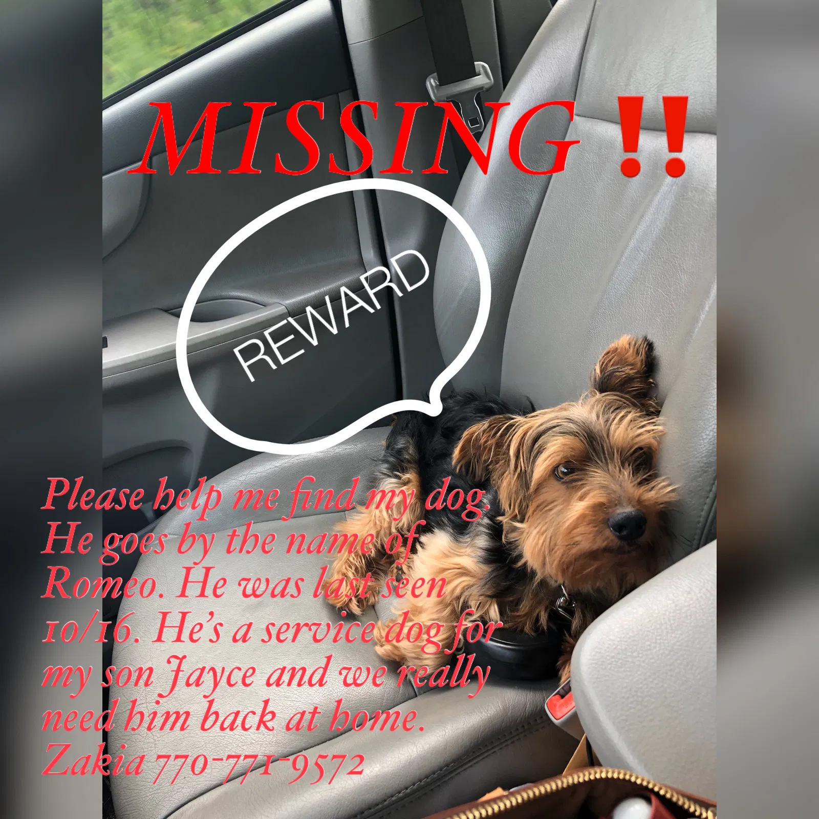 Lost dog in Fairburn, GA, 30213