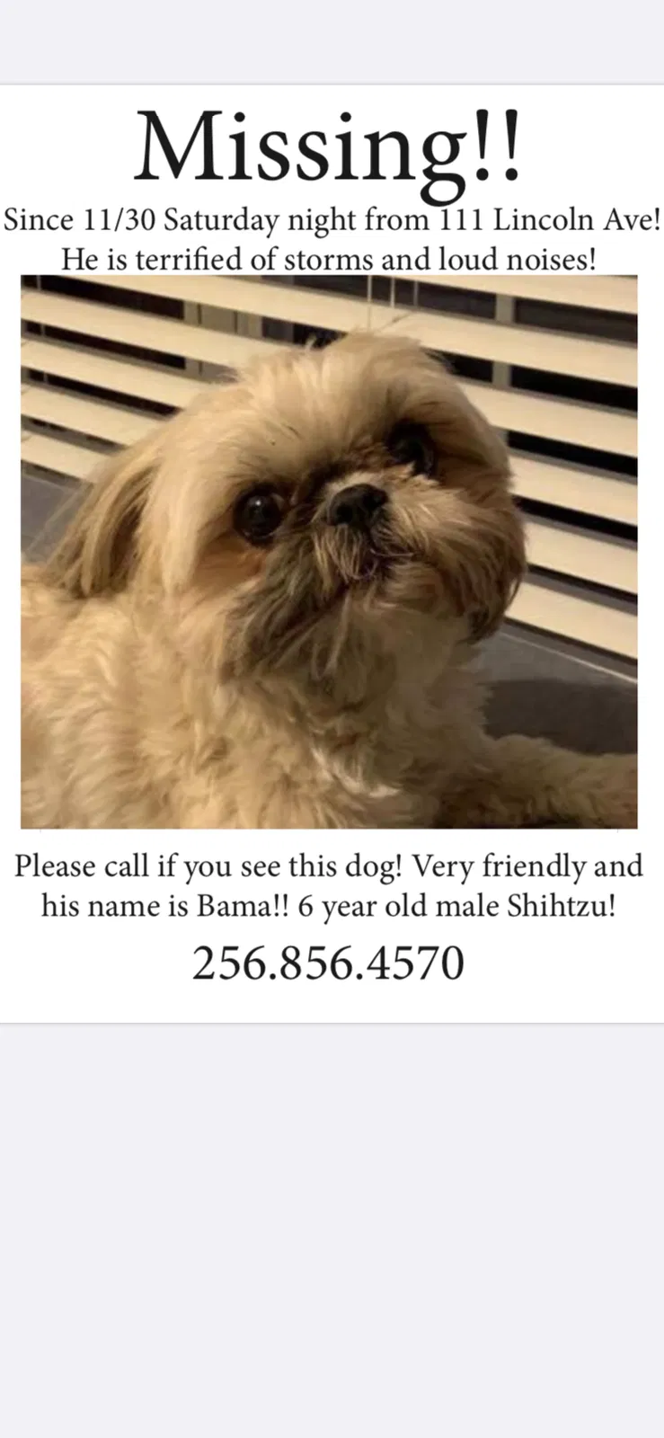 Lost dog in Muscle Shoals, AL, 35661