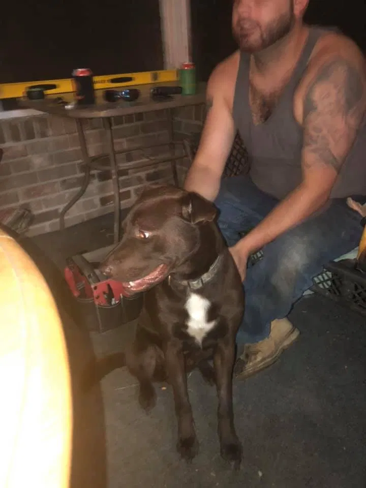 Lost dog in Cincinnati, OH, 45247