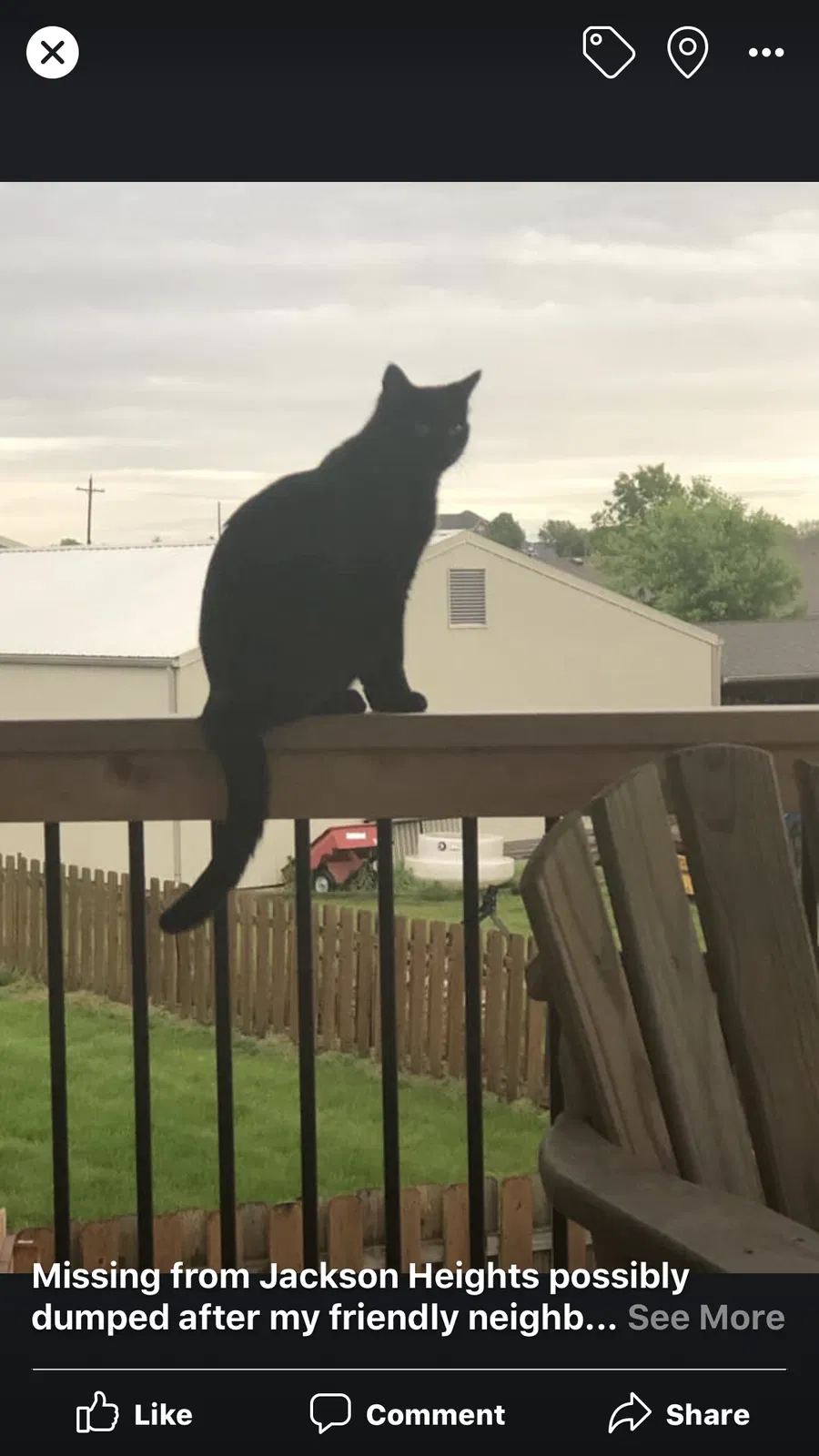 Lost cat in Tonganoxie, KS, 66086